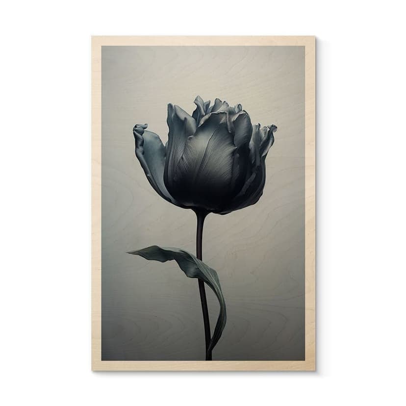 Stampa su legno Tulipano vellutato in nero - Paksoylu