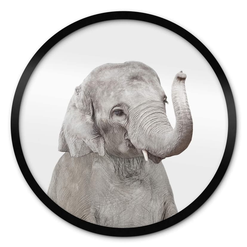 Poster Sisi & Seb - Baby Elefant tondo
