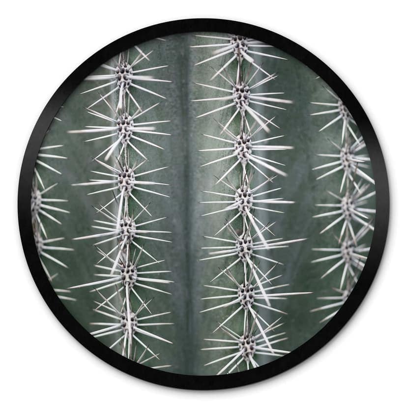 Poster 1X Studio - Cactus