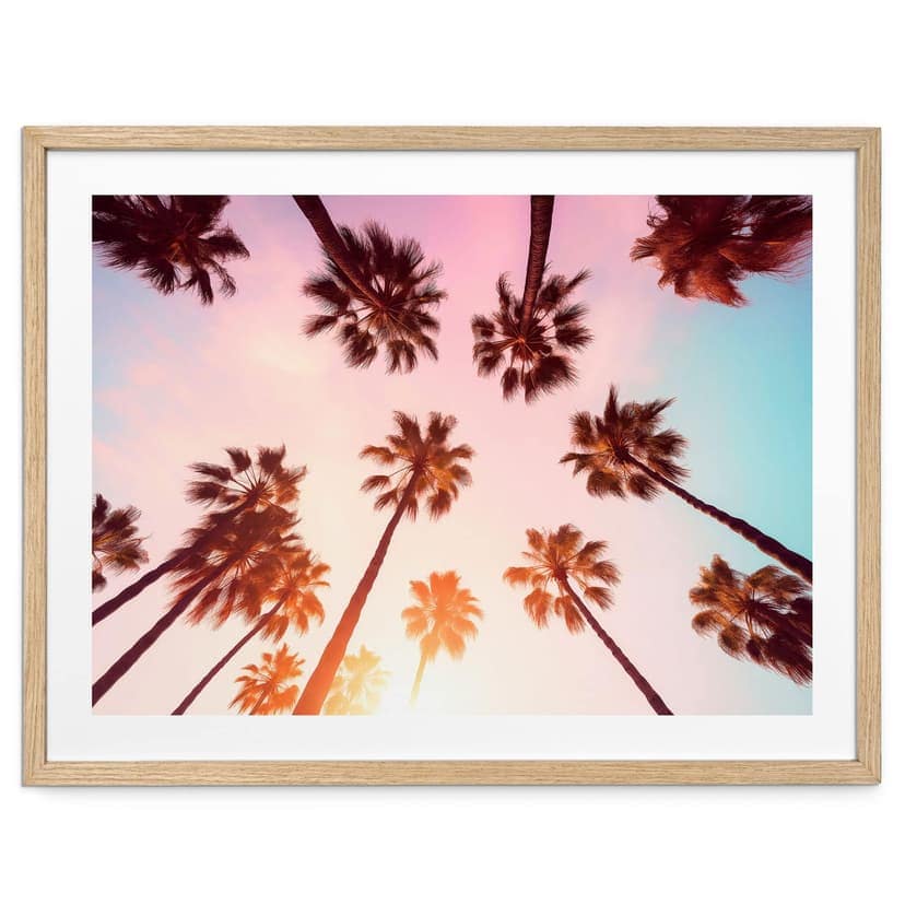 Poster natura California Dreaming con vista sulle palme - Hugonnard