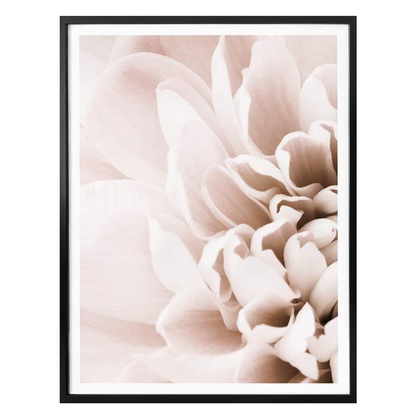 Poster 1X Studio - Fiori
