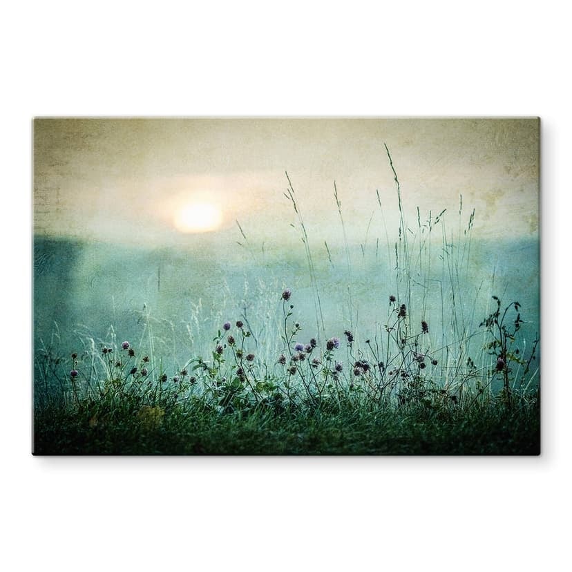 Stampa su vetro Kværnstrøm - Dew-covered sunrise