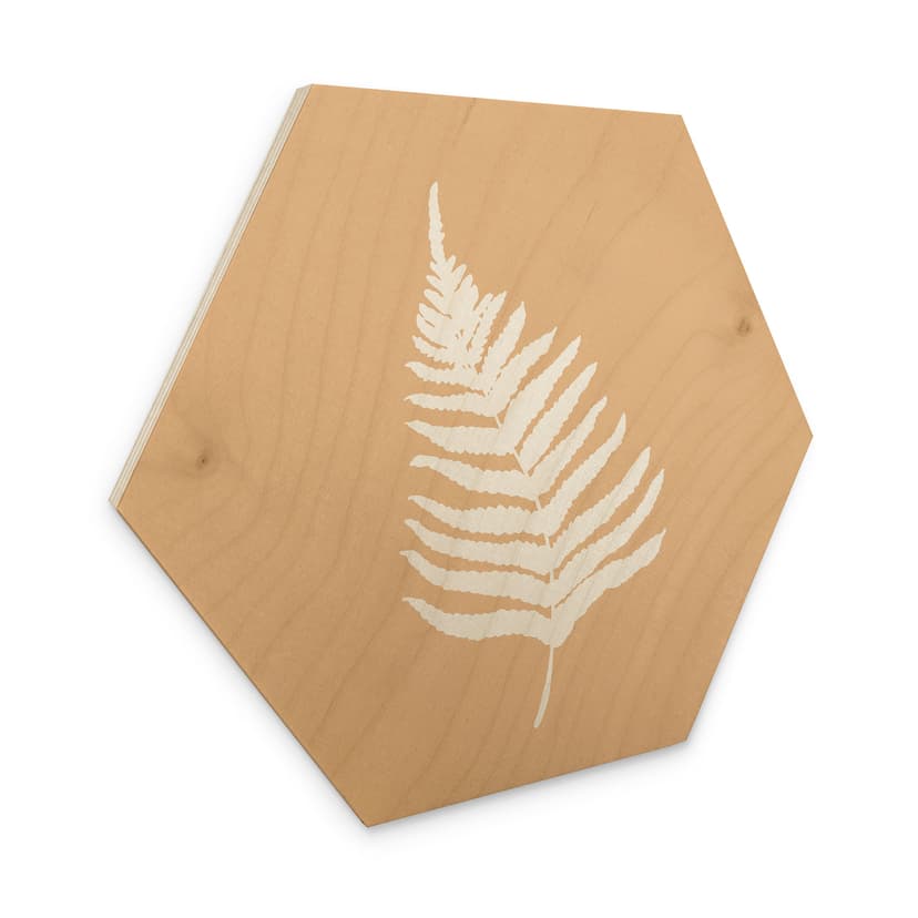 Esagono in legno Sagoma di foglia di felce - 1X Studio