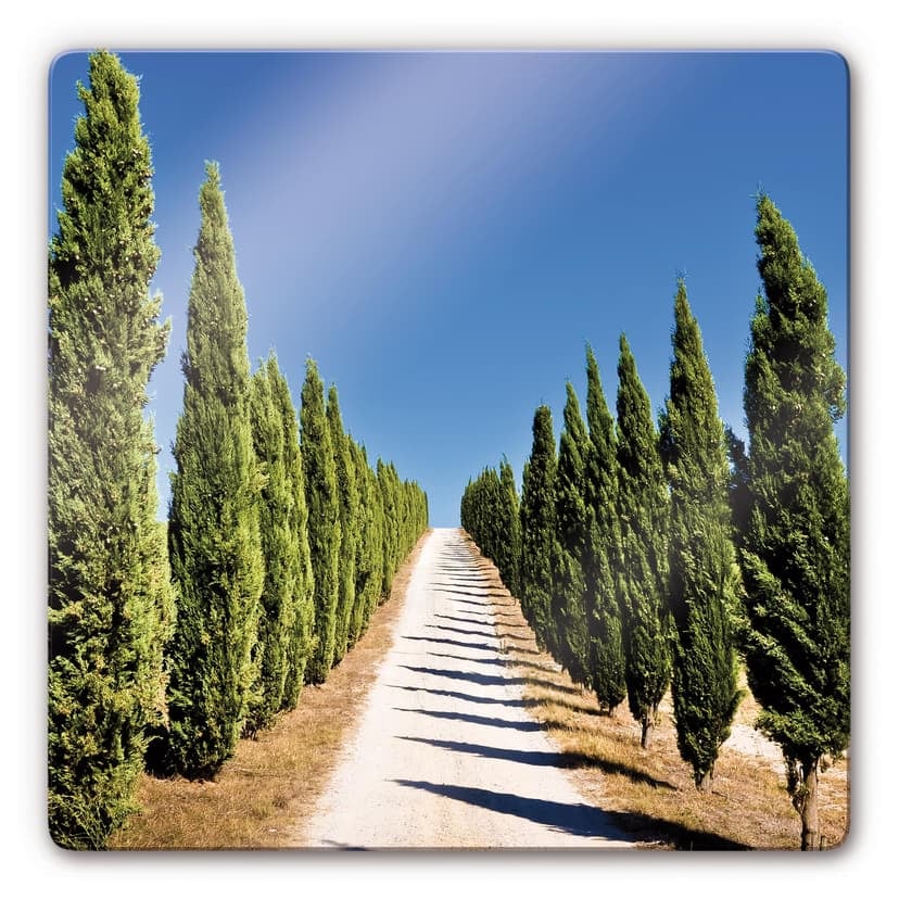 Stampa su vetro - Strada con cipressi