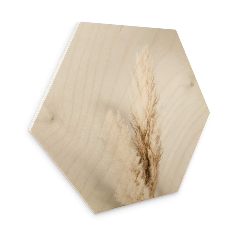 Esagono in legno 1X Studio - Pampasgras