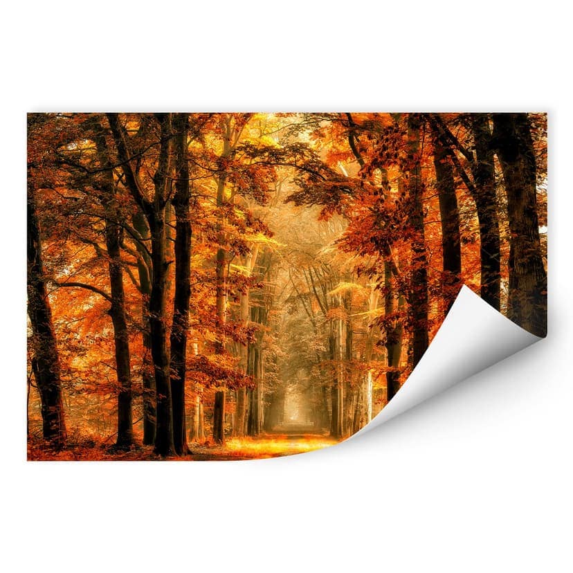 Wallprint van de Goor - Viale alberato in autunno