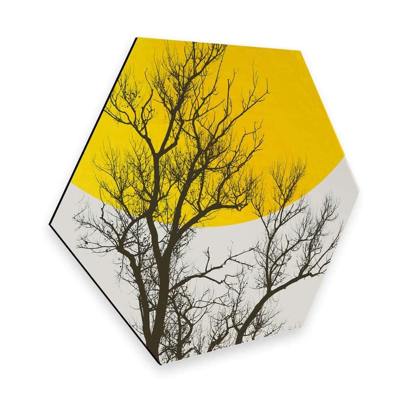 Esagoni Alu-Dibond - Kubistika - Autunno