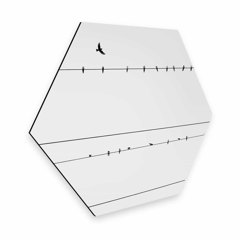 Esagoni Alu-Dibond - Partenza