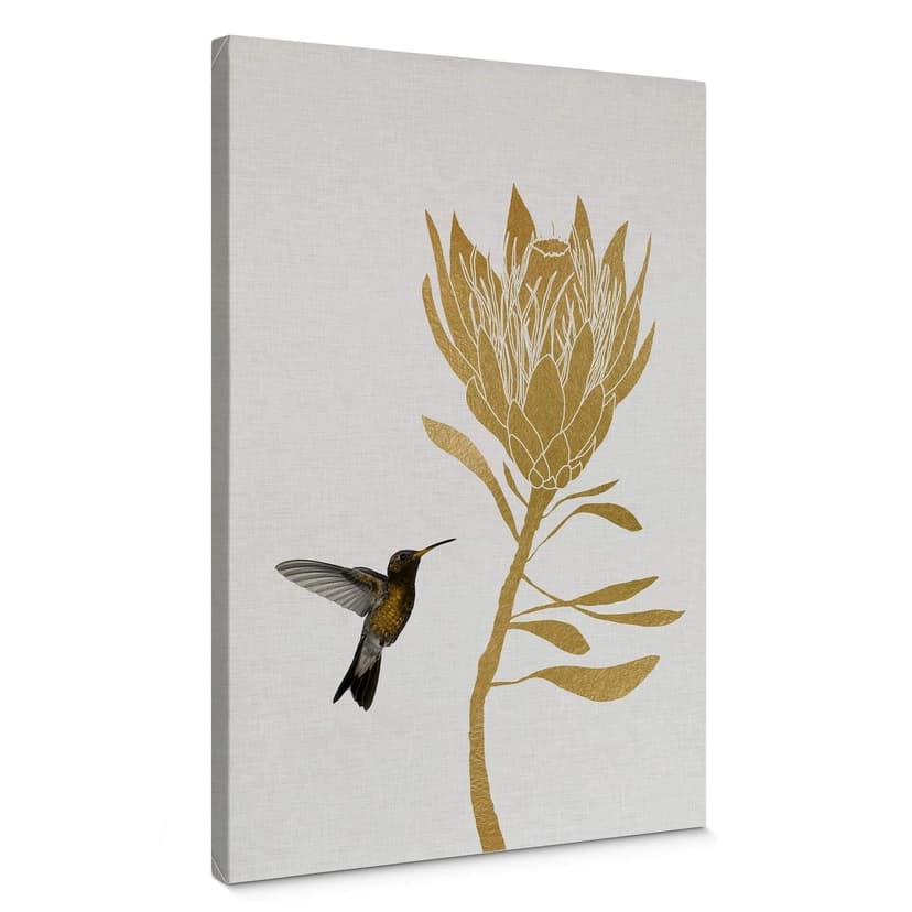 Stampa su tela Orara Studio - Colibrì