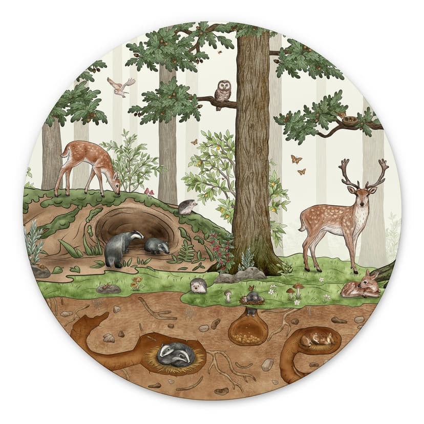Stampe per pareti con oggetti nascosti di animali della foresta - Kikki Belle - Alu-Dibond rotondo