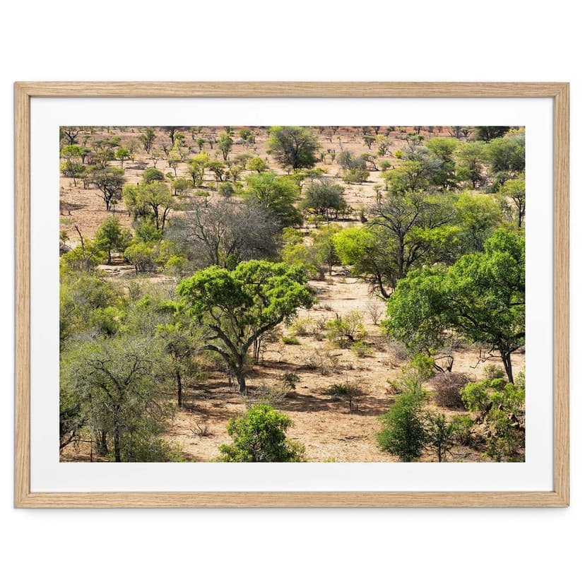 Poster paesaggio della savana in Africa - Hugonnard