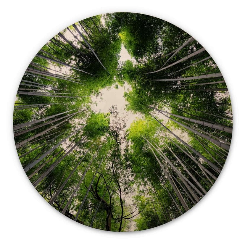 Stampa su legno Hugonnard - Foresta giapponese