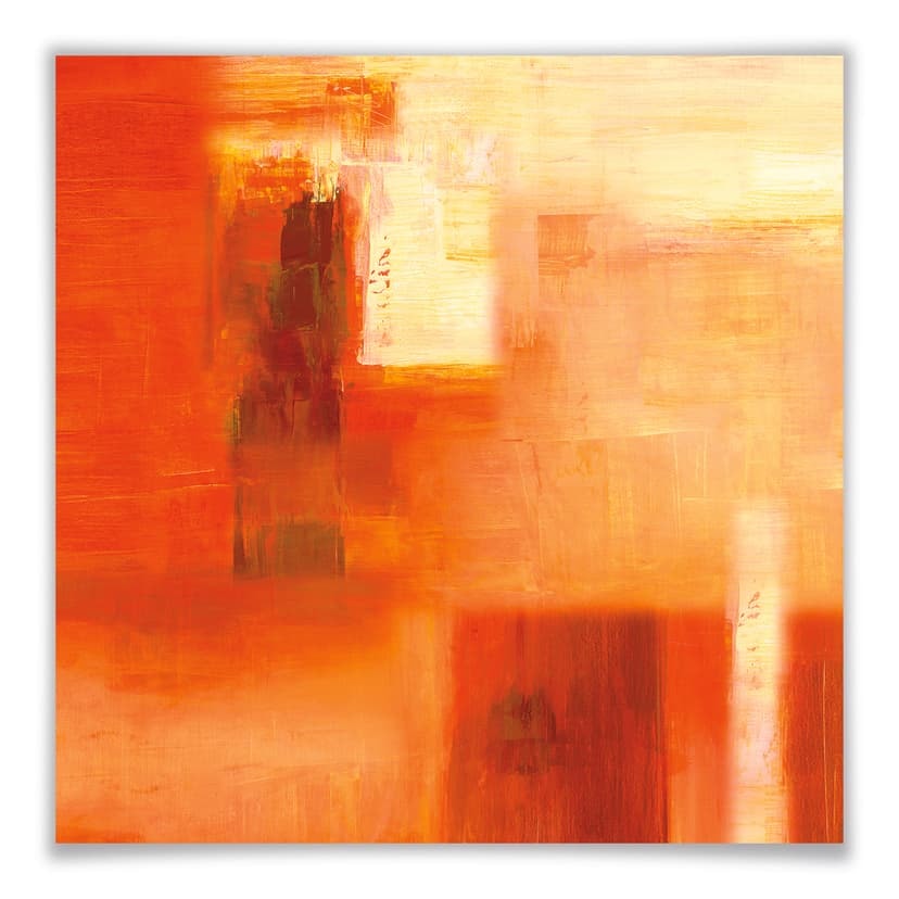 Poster Schüßler - Pemas Secret - quadrato