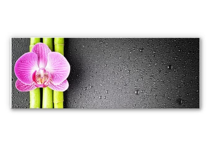 Stampa su Forex - Orchidea e bambù - panoramica (orizzontale)