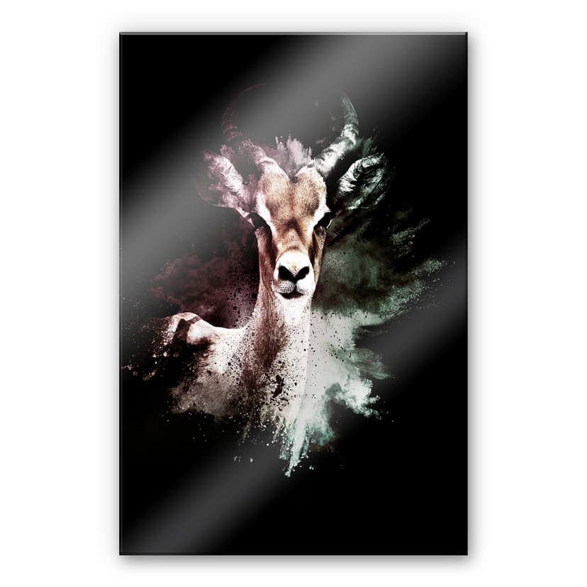 Stampa su vetro acrilico Hugonnard - Esplosione selvaggia: antilope