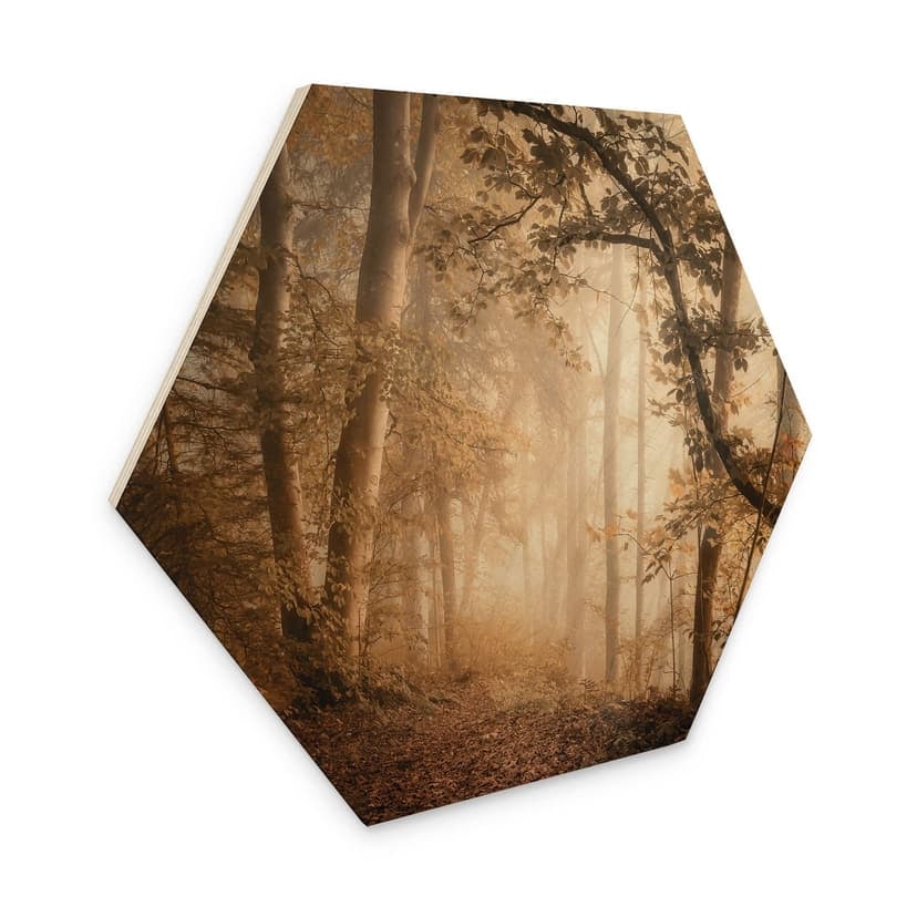 Esagono in legno Foresta nella nebbia del mattino - Maier