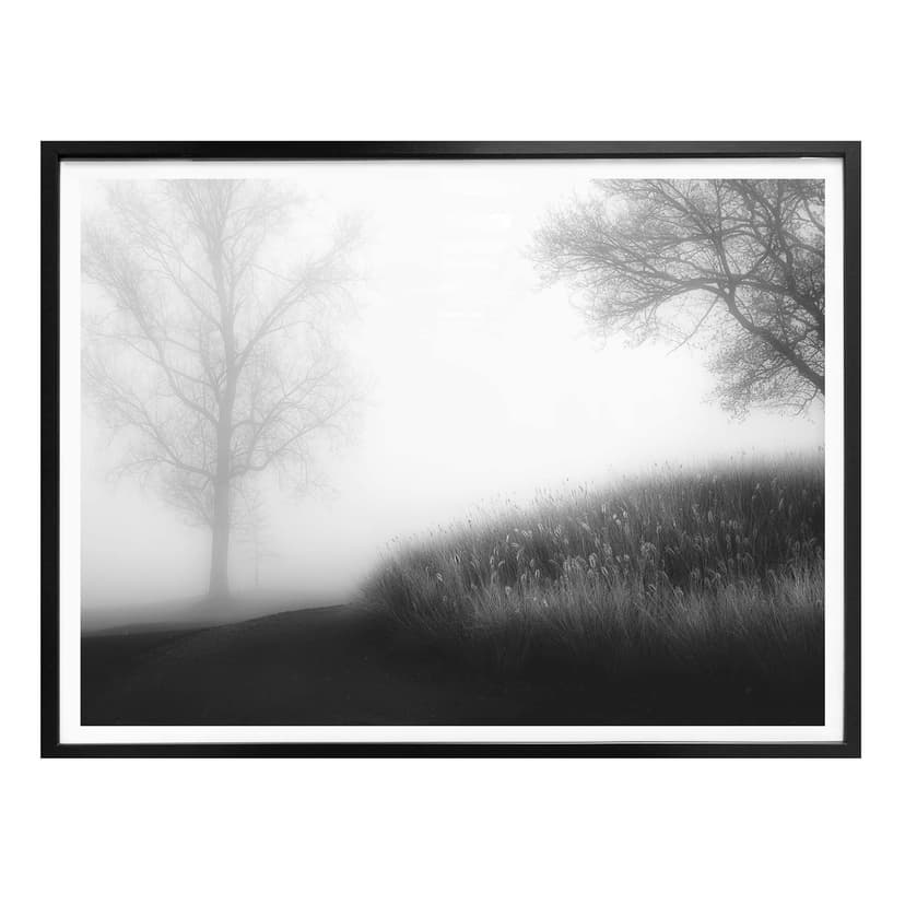 Poster Huybrighs - Nebbia mattutina