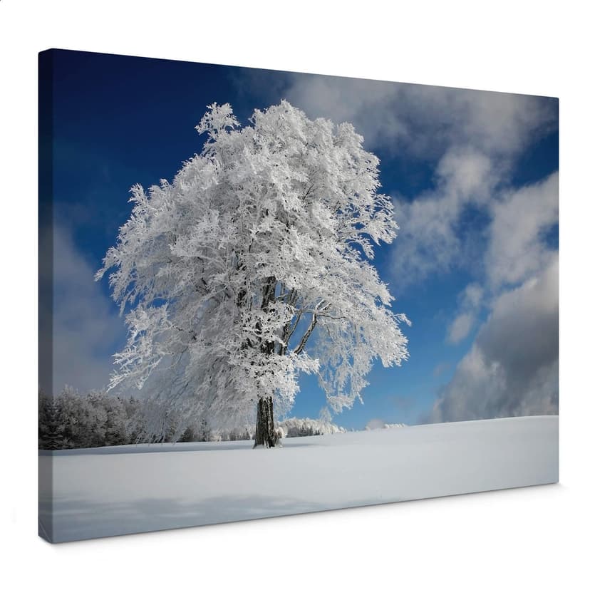Stampa su tela Schumacher - Neve