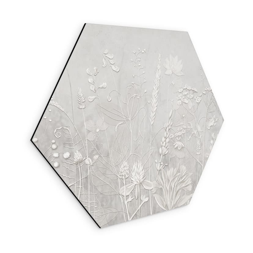 Stampe per pareti esagonali in bianco dal design moderno - Ms Tiff - Alu-Dibond
