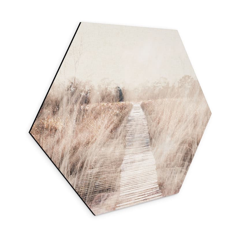 Esagono Alu-Dibond Paesaggio onirico con passerella in legno - Imaginative