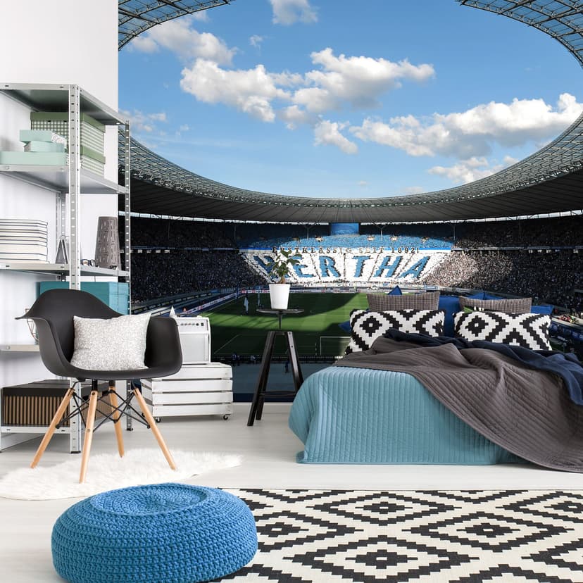 Fotomurale Hertha BSC - Stadio per giorno