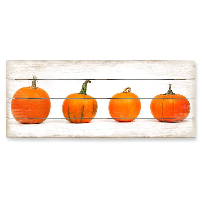 Stampa su legno - Varietà di zucca