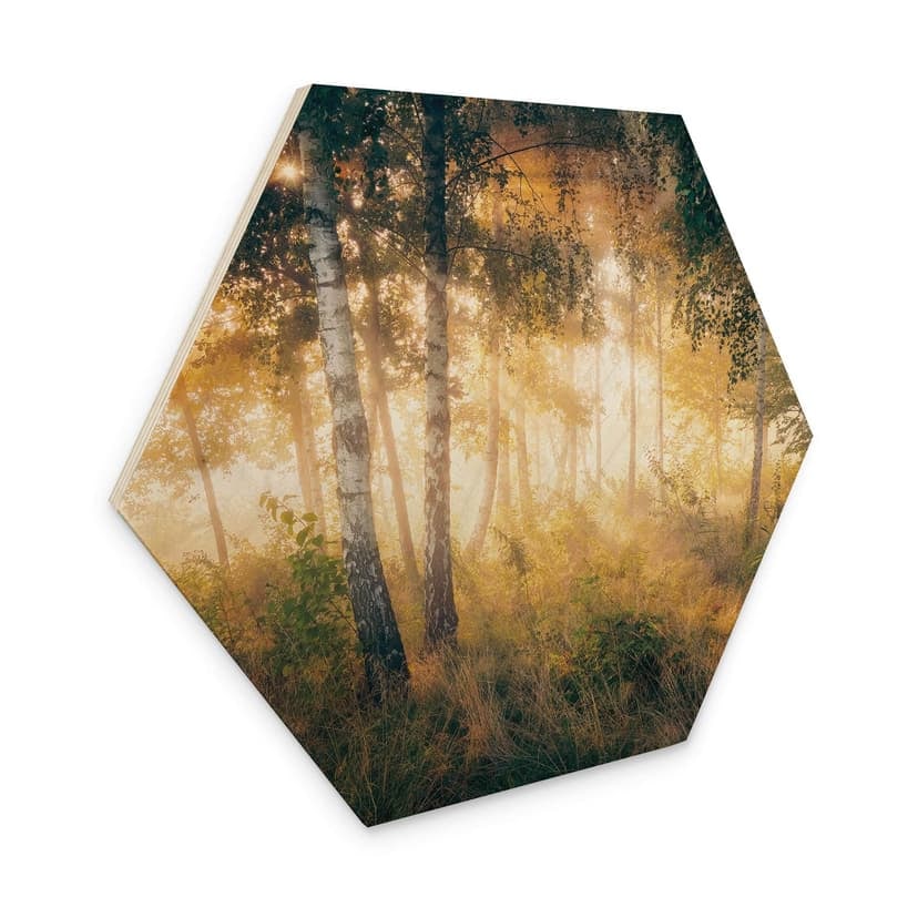 Esagono in legno Il sole nella foresta di betulle - Kado