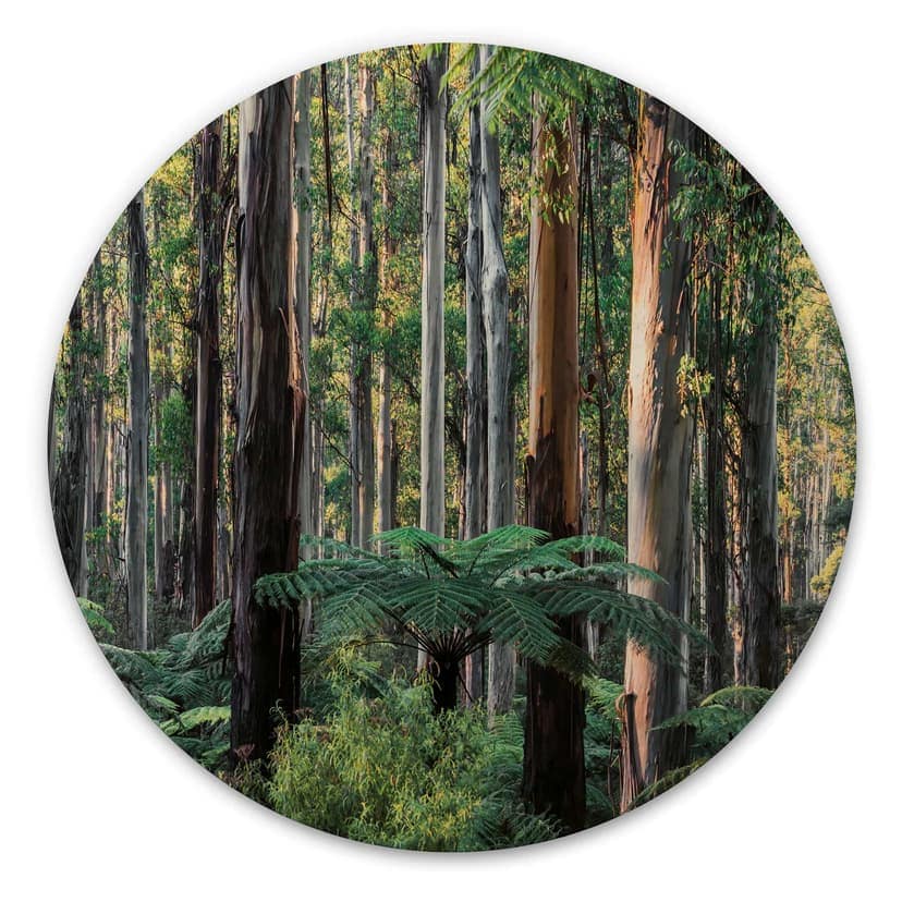Stampa su legno della foresta di eucalipti negli Yarra Ranges - Colombo - Round