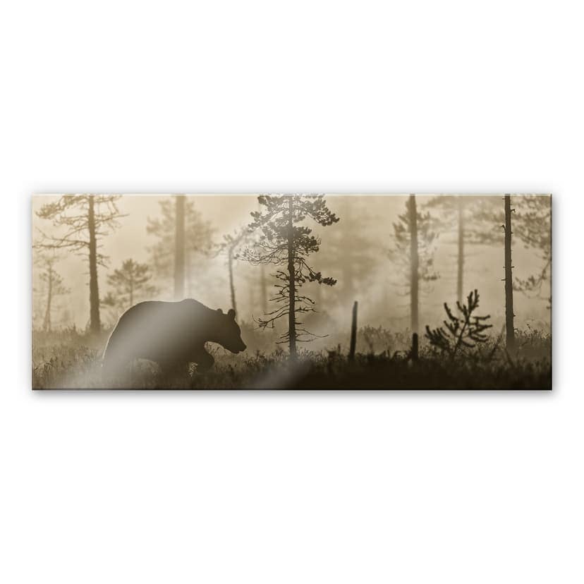 Stampa su vetro acrilico Ove Linde - Nebbia al mattino - Panorama
