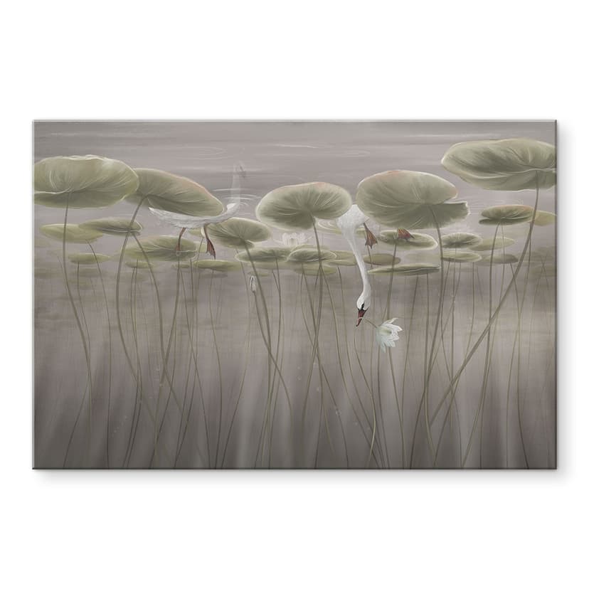 Stampa su vetro Fiori di loto con cigno in acqua in grigio - Ms Tiff