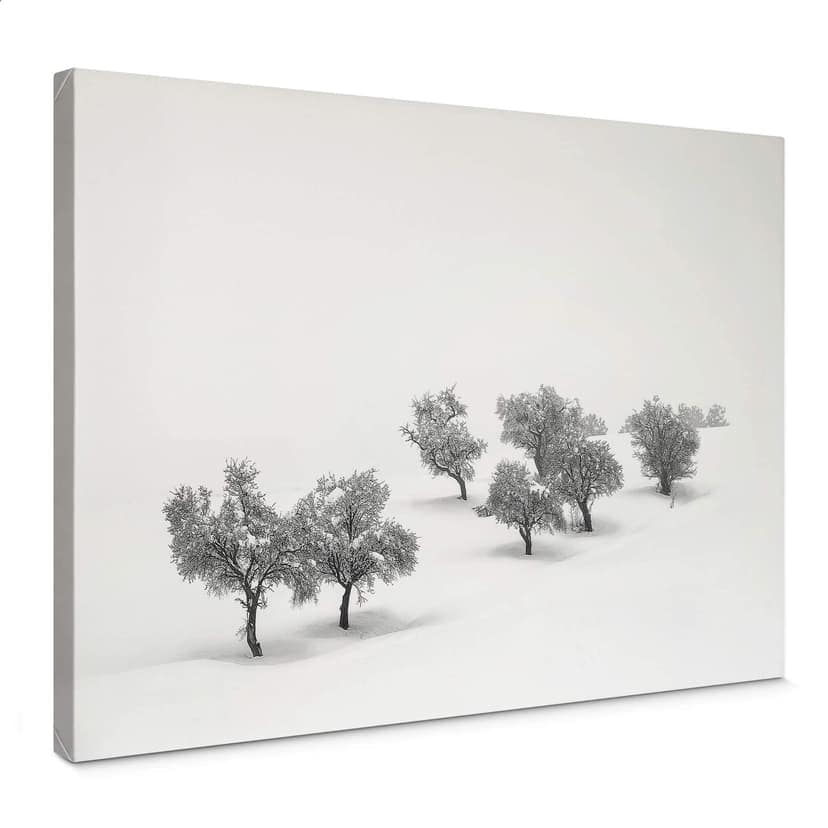 Stampa su tela Carrillo Lopez - Paesaggio innevato