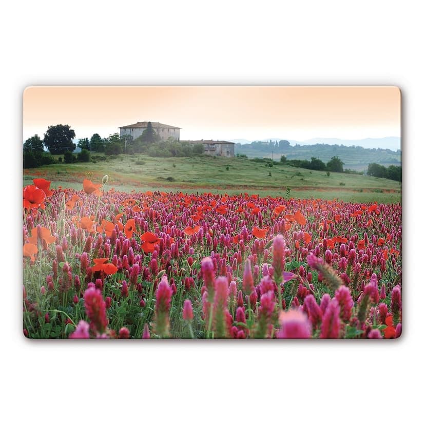 Stampa su vetro - Prato fiorito in Toscana