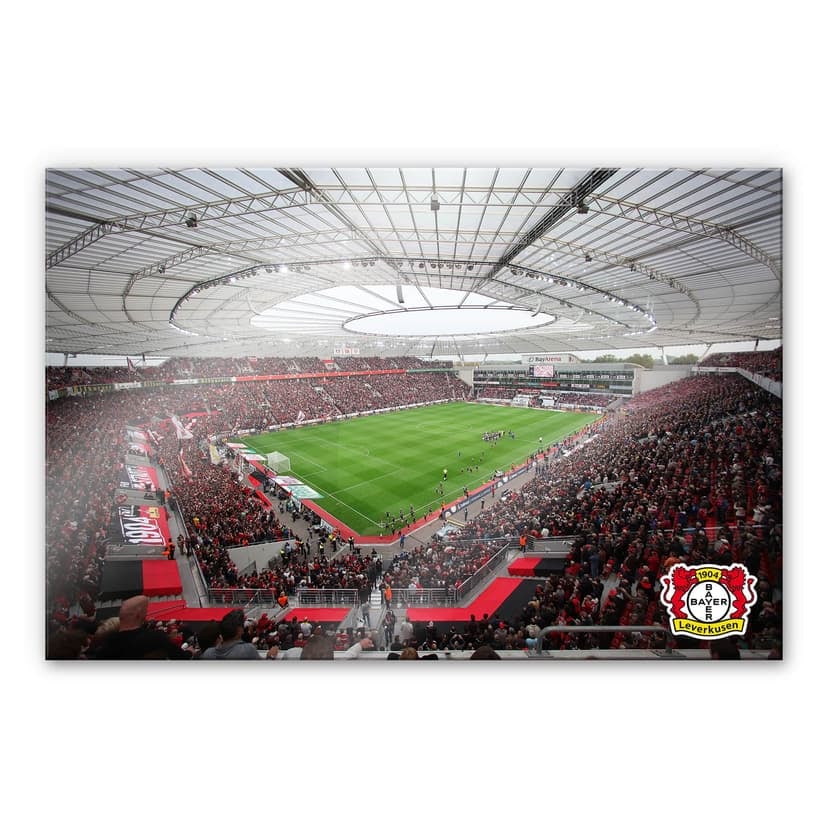 Stampa su vetro acrilico interno BayArena