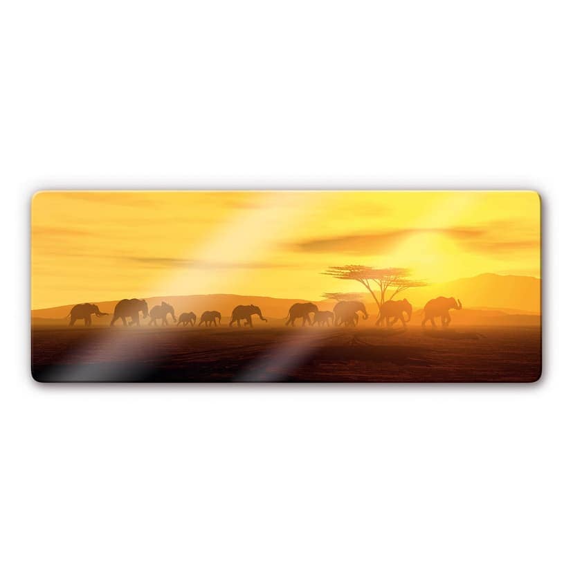 La migrazione - panoramica