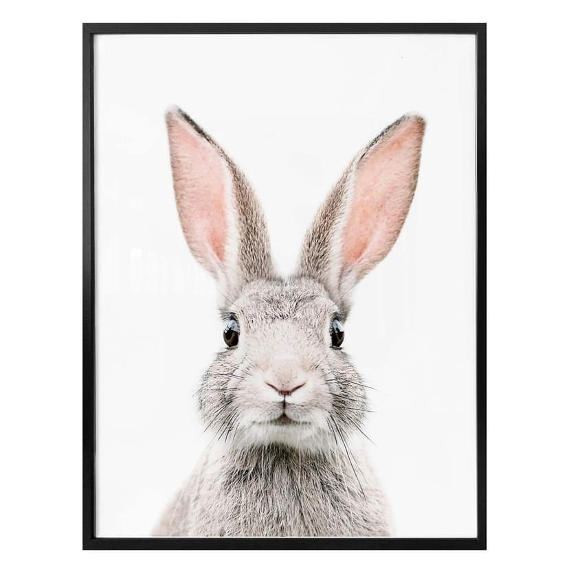 Poster Sisi & Seb - Hello Bunny
