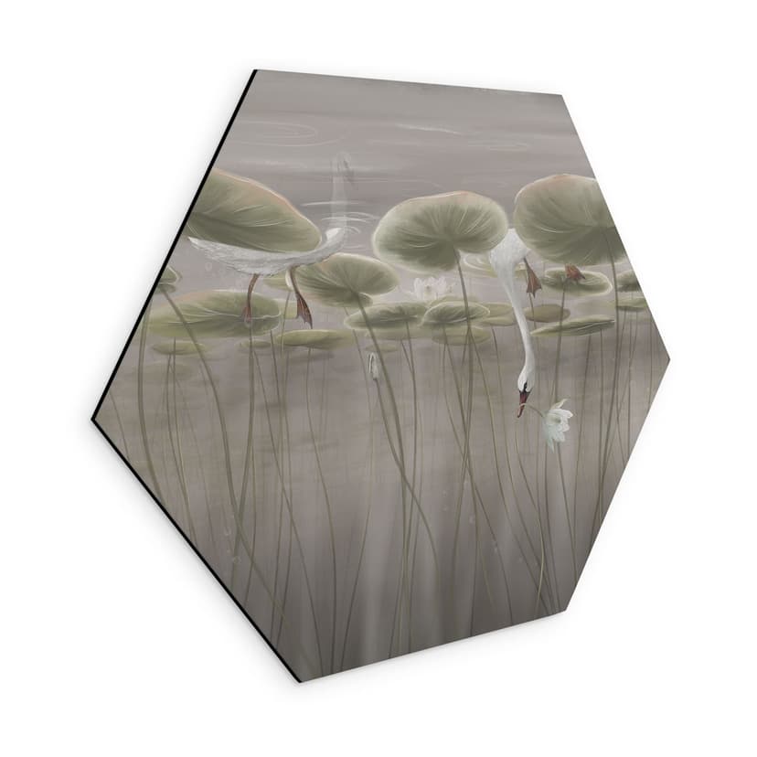 Stampe esagonali per pareti con fiori di loto e cigno in acqua in grigio - Ms Tiff - Alu-Dibond