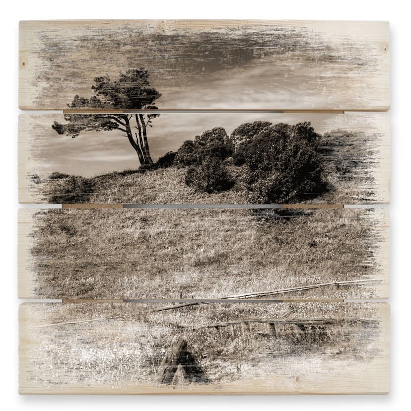 Stampa su legno - Paesaggio a Hiddensee