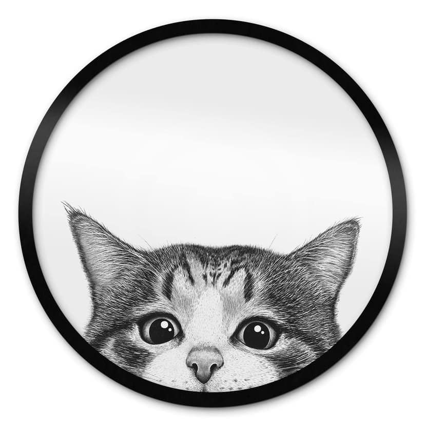 Poster Gatto curioso - Korenkova - Rotondo