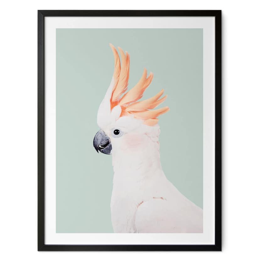 Poster Ritratto di animale cacatua rosa - Sisi & Seb
