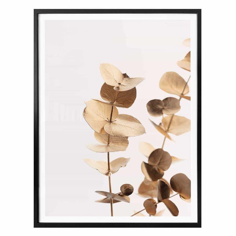 Poster 1X Studio - Eucalipto dorato