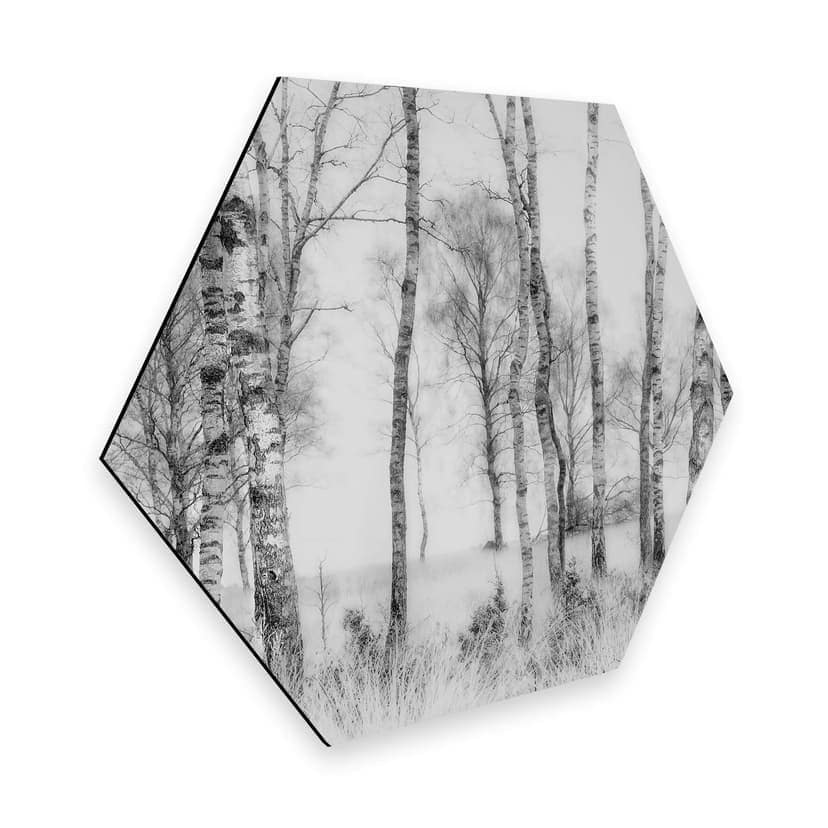 Esagoni Alu-Dibond Talen - Betulle