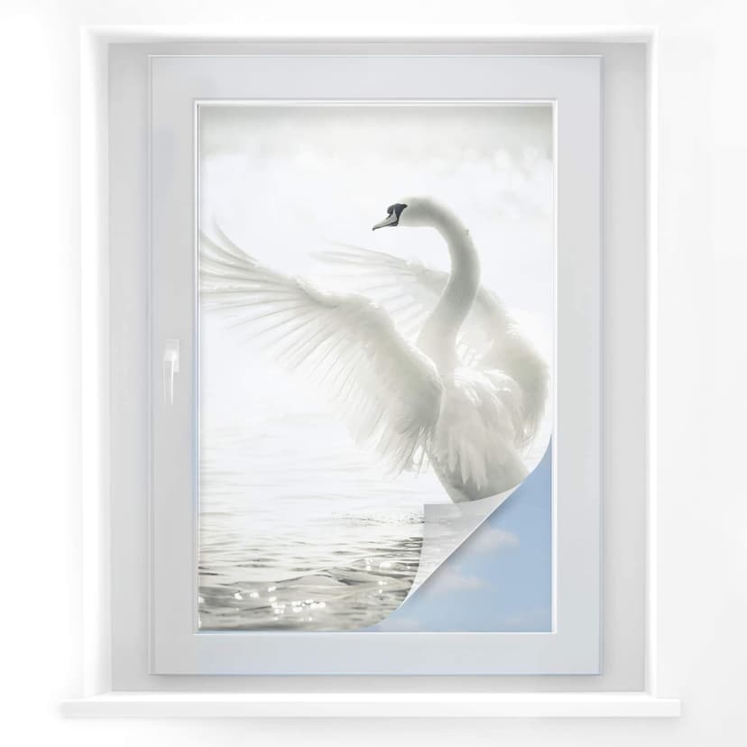Pellicola adesiva per vetri - cigno maestoso