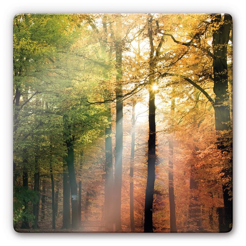 Stampa su vetro - Autunno dorato