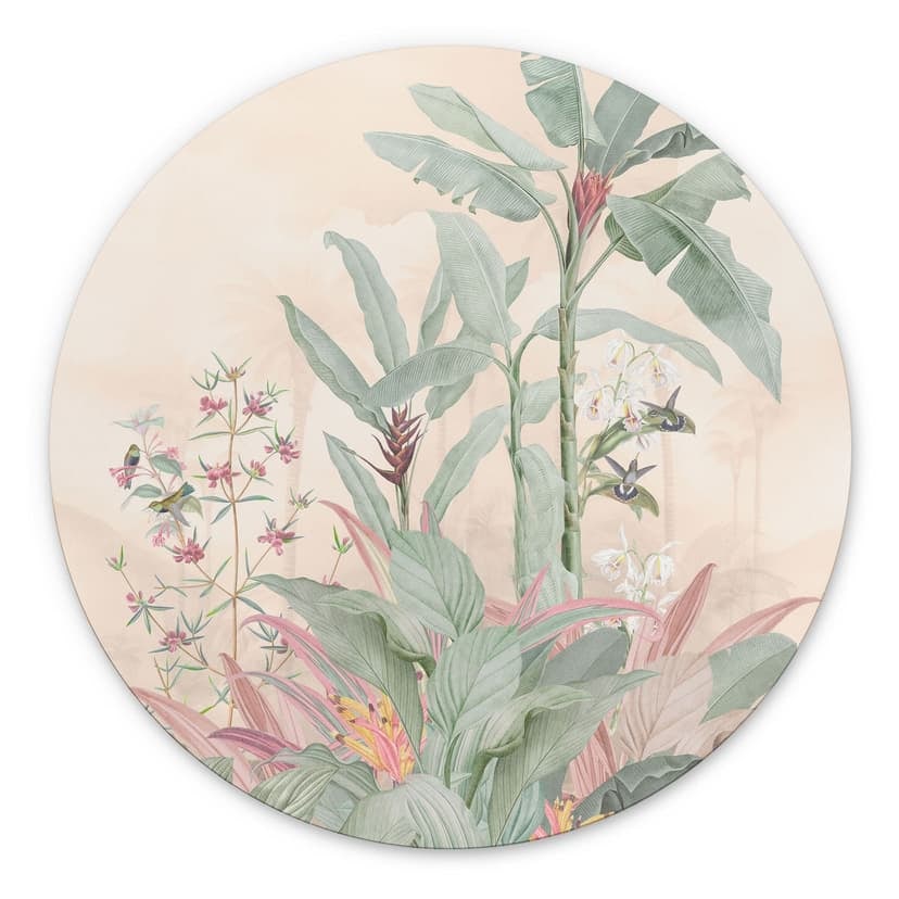 Idillio tropicale con colibrì albicocca - Decorazione floreale - Alu-Dibond rotondo