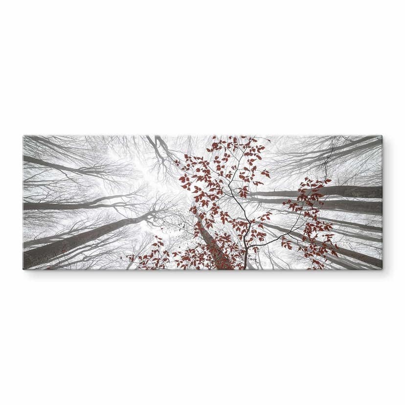 Stampa su vetro Cime di alberi con foglie rosse - Coman