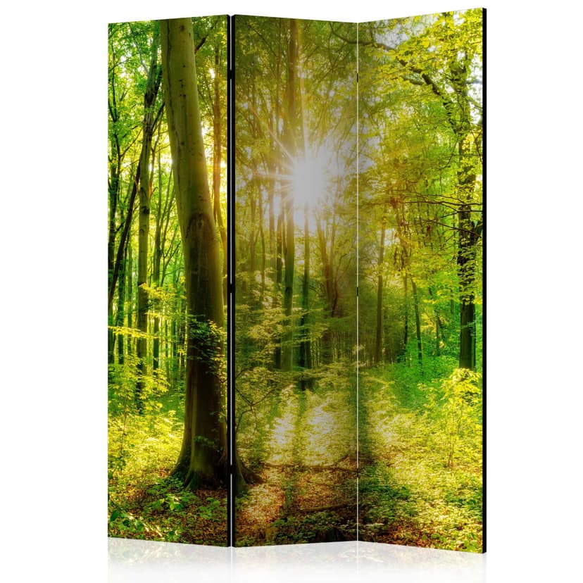 Schermo divisorio - Raggi di bosco, 3 pezzi