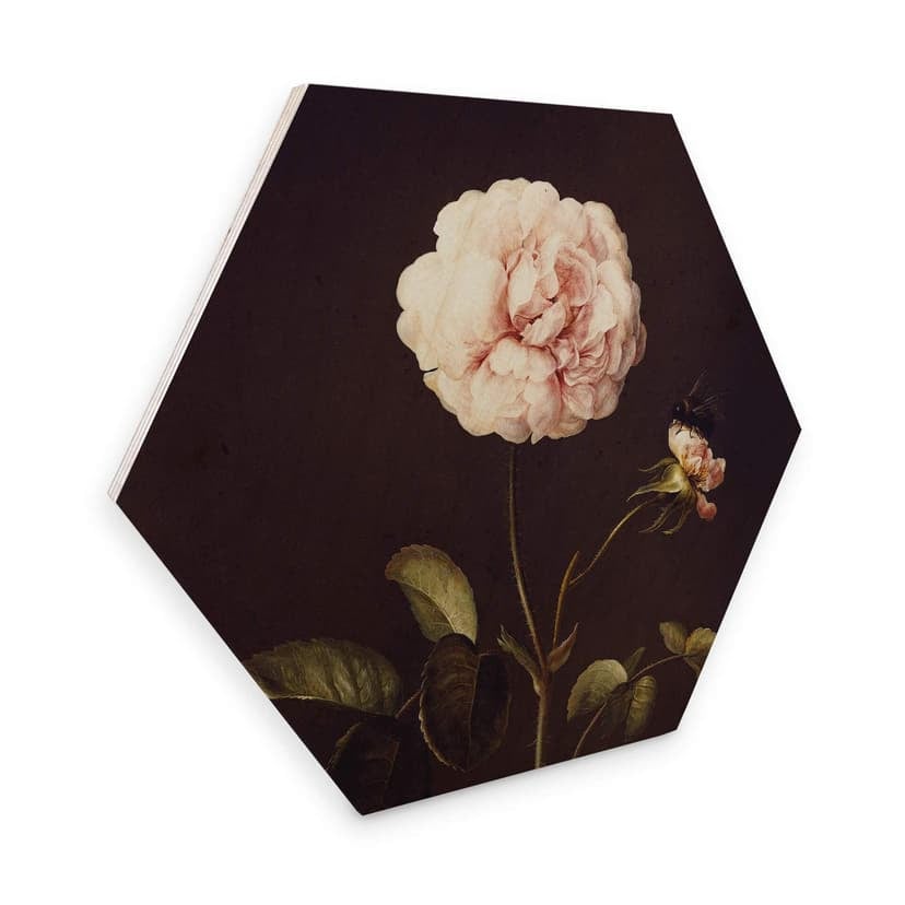 Esagoni in legno Dietzsch - Rosa con bombo