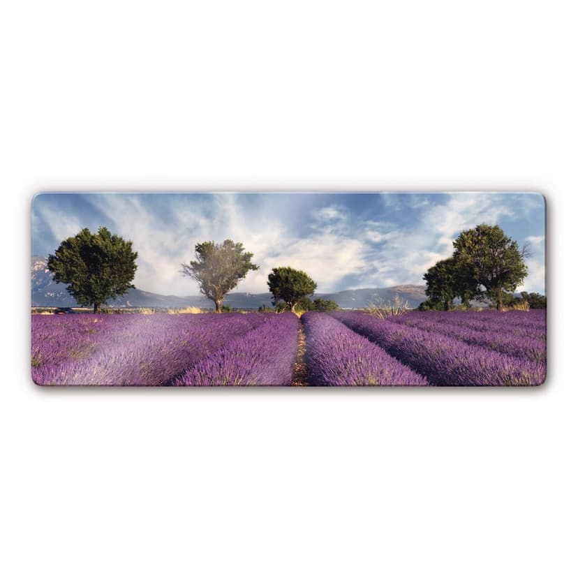 Campo di lavanda - panoramica