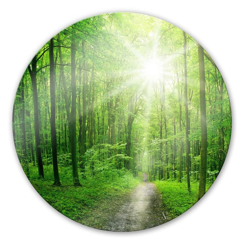 Stampa su vetro - Bosco soleggiato - tondo