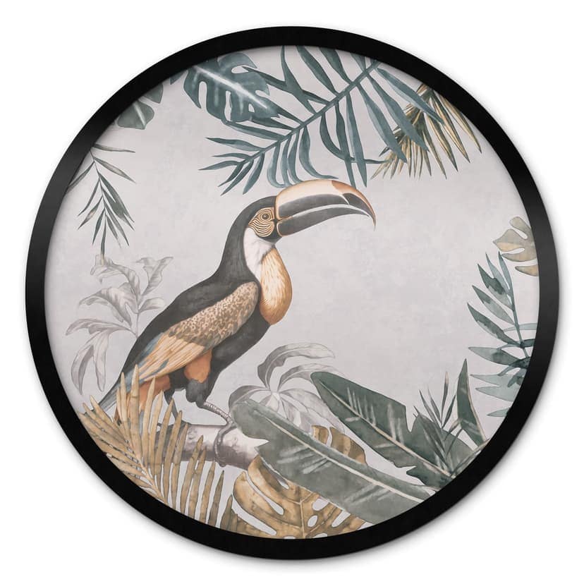 Poster Foresta tropicale con tucano - Haase